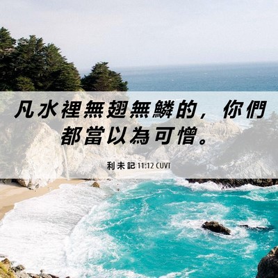 Picture 06 - 利 未 記 11:12 CUVT - 凡 水 裡 無 翅 無 鱗 的 ， 你 們 都 - Bible Verse Picture