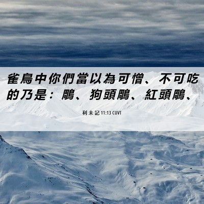 Picture 06 - 利 未 記 11:13 CUVT - 雀 鳥 中 你 們 當 以 為 可 憎 、 不 - Bible Verse Picture