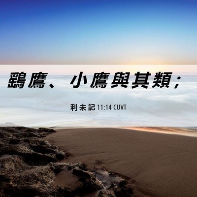 Picture 06 - 利 未 記 11:14 CUVT - 鷂 鷹 、 小 鷹 與 其 類 - Bible Verse Picture