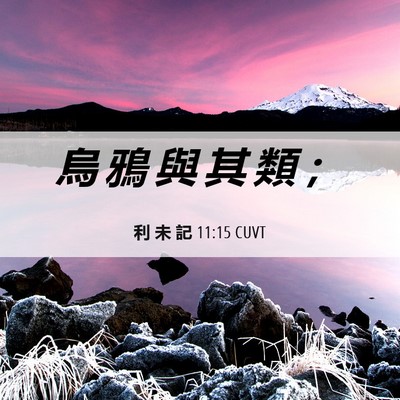 Picture 06 - 利 未 記 11:15 CUVT - 烏 鴉 與 其 類 - Bible Verse Picture