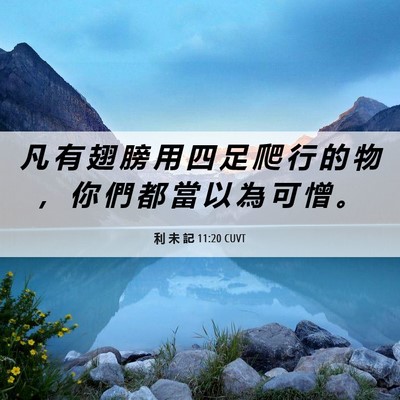 Picture 06 - 利 未 記 11:20 CUVT - 凡 有 翅 膀 用 四 足 爬 行 的 物 ， - Bible Verse Picture