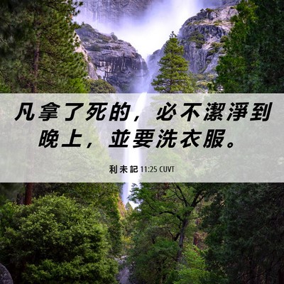 Picture 06 - 利 未 記 11:25 CUVT - 凡 拿 了 死 的 ， 必 不 潔 淨 到 晚 - Bible Verse Picture