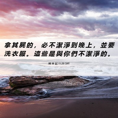 Picture 06 - 利 未 記 11:28 CUVT - 拿 其 屍 的 ， 必 不 潔 淨 到 晚 上 - Bible Verse Picture