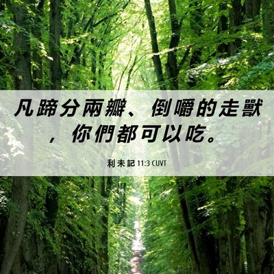 Picture 06 - 利 未 記 11:3 CUVT - 凡 蹄 分 兩 瓣 、 倒 嚼 的 走 獸 ， - Bible Verse Picture