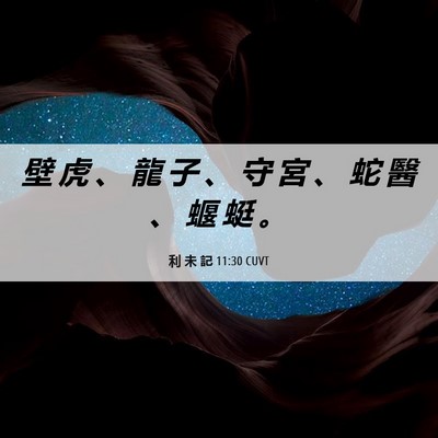 Picture 06 - 利 未 記 11:30 CUVT - 壁 虎 、 龍 子 、 守 宮 、 蛇 醫 、 - Bible Verse Picture