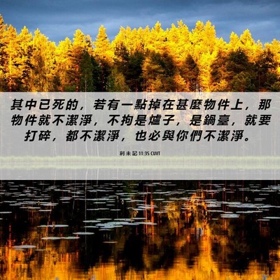 Picture 06 - 利 未 記 11:35 CUVT - 其 中 已 死 的 ， 若 有 一 點 掉 在 - Bible Verse Picture