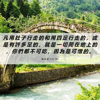 Picture 06 - 利 未 記 11:42 CUVT - 凡 用 肚 子 行 走 的 和 用 四 足 行 - Bible Verse Picture