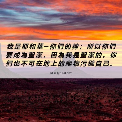 Picture 06 - 利 未 記 11:44 CUVT - 我 是 耶 和 華 ─ 你 們 的 神 ； 所 - Bible Verse Picture