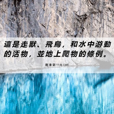 Picture 06 - 利 未 記 11:46 CUVT - 這 是 走 獸 、 飛 鳥 ， 和 水 中 游 - Bible Verse Picture