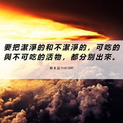 Picture 06 - 利 未 記 11:47 CUVT - 要 把 潔 淨 的 和 不 潔 淨 的 ， 可 - Bible Verse Picture