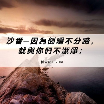 Picture 06 - 利 未 記 11:5 CUVT - 沙 番 ─ 因 為 倒 嚼 不 分 蹄 ， 就 - Bible Verse Picture