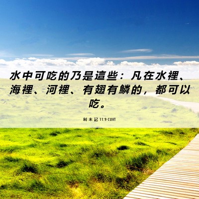 Picture 06 - 利 未 記 11:9 CUVT - 水 中 可 吃 的 乃 是 這 些 ： 凡 在 - Bible Verse Picture
