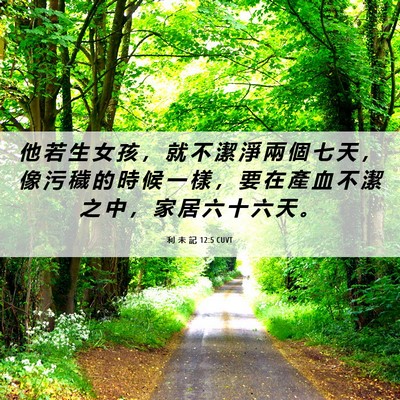 Picture 06 - 利 未 記 12:5 CUVT - 他 若 生 女 孩 ， 就 不 潔 淨 兩 個 - Bible Verse Picture