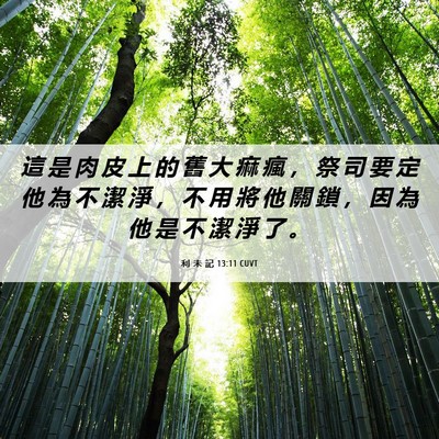 Picture 06 - 利 未 記 13:11 CUVT - 這 是 肉 皮 上 的 舊 大 痲 瘋 ， 祭 - Bible Verse Picture