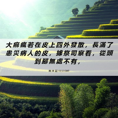 Picture 06 - 利 未 記 13:12 CUVT - 大 痲 瘋 若 在 皮 上 四 外 發 散 ， - Bible Verse Picture