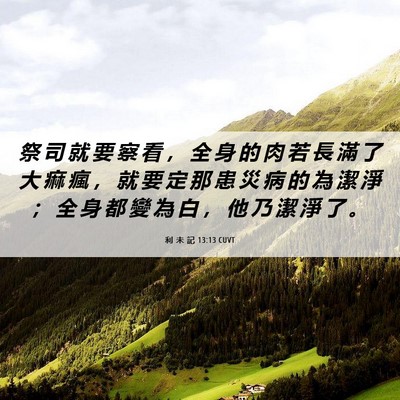 Picture 06 - 利 未 記 13:13 CUVT - 祭 司 就 要 察 看 ， 全 身 的 肉 若 - Bible Verse Picture