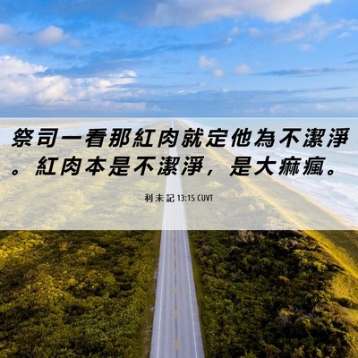 Picture 06 - 利 未 記 13:15 CUVT - 祭 司 一 看 那 紅 肉 就 定 他 為 不 - Bible Verse Picture