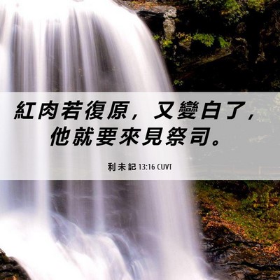 Picture 06 - 利 未 記 13:16 CUVT - 紅 肉 若 復 原 ， 又 變 白 了 ， 他 - Bible Verse Picture