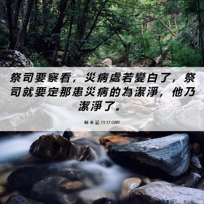 Picture 06 - 利 未 記 13:17 CUVT - 祭 司 要 察 看 ， 災 病 處 若 變 白 - Bible Verse Picture