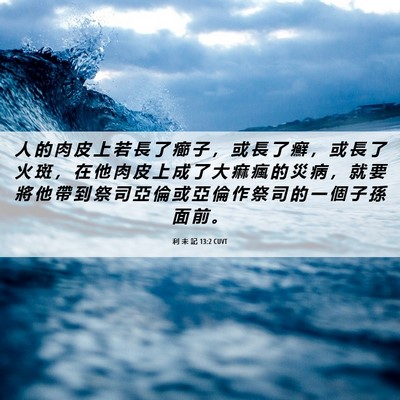 Picture 06 - 利 未 記 13:2 CUVT - 人 的 肉 皮 上 若 長 了 癤 子 ， 或 - Bible Verse Picture