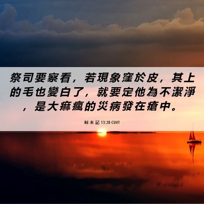 Picture 06 - 利 未 記 13:20 CUVT - 祭 司 要 察 看 ， 若 現 象 窪 於 皮 - Bible Verse Picture