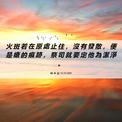 Picture 06 - 利 未 記 13:23 CUVT - 火 斑 若 在 原 處 止 住 ， 沒 有 發 - Bible Verse Picture