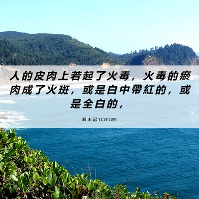 Picture 06 - 利 未 記 13:24 CUVT - 人 的 皮 肉 上 若 起 了 火 毒 ， 火 - Bible Verse Picture