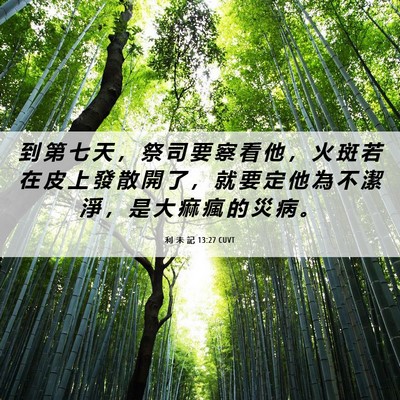 Picture 06 - 利 未 記 13:27 CUVT - 到 第 七 天 ， 祭 司 要 察 看 他 ， - Bible Verse Picture