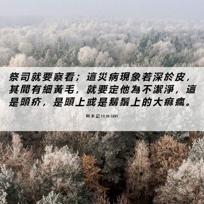 Picture 06 - 利 未 記 13:30 CUVT - 祭 司 就 要 察 看 ； 這 災 病 現 象 - Bible Verse Picture