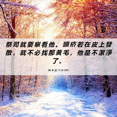 Picture 06 - 利 未 記 13:36 CUVT - 祭 司 就 要 察 看 他 。 頭 疥 若 在 - Bible Verse Picture