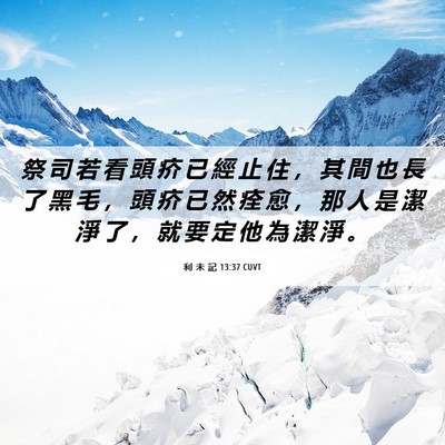 Picture 06 - 利 未 記 13:37 CUVT - 祭 司 若 看 頭 疥 已 經 止 住 ， 其 - Bible Verse Picture