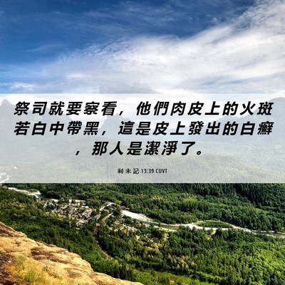 Picture 06 - 利 未 記 13:39 CUVT - 祭 司 就 要 察 看 ， 他 們 肉 皮 上 - Bible Verse Picture