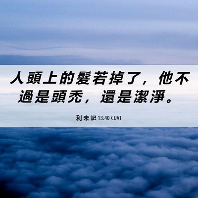 Picture 06 - 利 未 記 13:40 CUVT - 人 頭 上 的 髮 若 掉 了 ， 他 不 過 - Bible Verse Picture