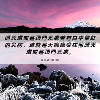 Picture 06 - 利 未 記 13:42 CUVT - 頭 禿 處 或 是 頂 門 禿 處 若 有 白 - Bible Verse Picture