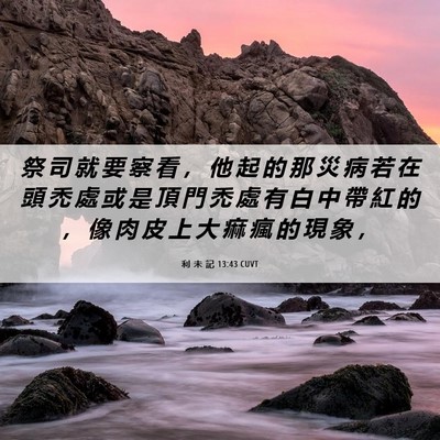 Picture 06 - 利 未 記 13:43 CUVT - 祭 司 就 要 察 看 ， 他 起 的 那 災 - Bible Verse Picture