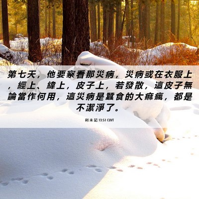 Picture 06 - 利 未 記 13:51 CUVT - 第 七 天 ， 他 要 察 看 那 災 病 ， - Bible Verse Picture