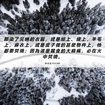 Picture 06 - 利 未 記 13:52 CUVT - 那 染 了 災 病 的 衣 服 ， 或 是 經 - Bible Verse Picture