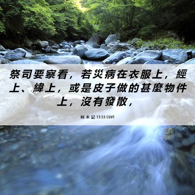 Picture 06 - 利 未 記 13:53 CUVT - 祭 司 要 察 看 ， 若 災 病 在 衣 服 - Bible Verse Picture