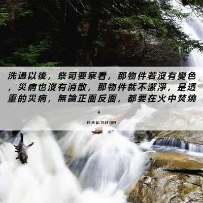Picture 06 - 利 未 記 13:55 CUVT - 洗 過 以 後 ， 祭 司 要 察 看 ， 那 - Bible Verse Picture