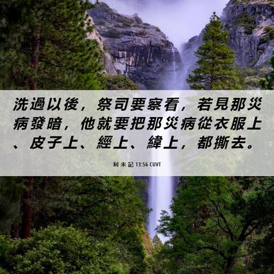 Picture 06 - 利 未 記 13:56 CUVT - 洗 過 以 後 ， 祭 司 要 察 看 ， 若 - Bible Verse Picture