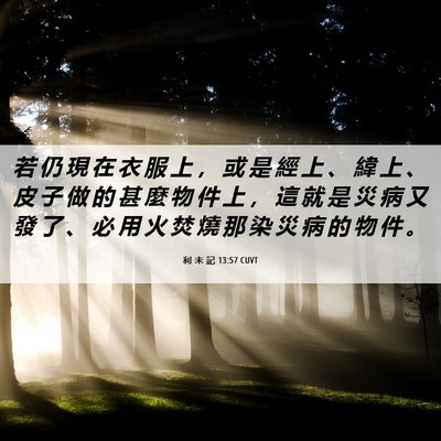 Picture 06 - 利 未 記 13:57 CUVT - 若 仍 現 在 衣 服 上 ， 或 是 經 上 - Bible Verse Picture