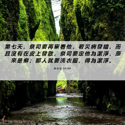 Picture 06 - 利 未 記 13:6 CUVT - 第 七 天 ， 祭 司 要 再 察 看 他 ， - Bible Verse Picture