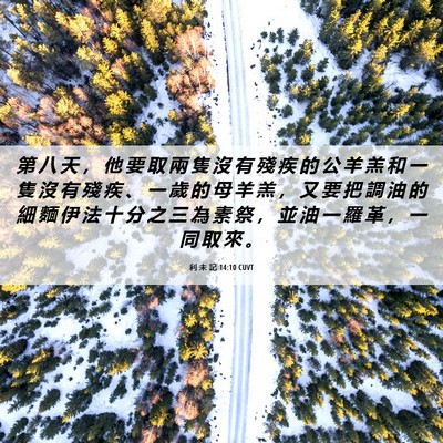 Picture 06 - 利 未 記 14:10 CUVT - 第 八 天 ， 他 要 取 兩 隻 沒 有 殘 - Bible Verse Picture