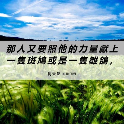 Picture 06 - 利 未 記 14:30 CUVT - 那 人 又 要 照 他 的 力 量 獻 上 一 - Bible Verse Picture
