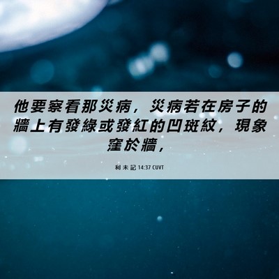 Picture 06 - 利 未 記 14:37 CUVT - 他 要 察 看 那 災 病 ， 災 病 若 在 - Bible Verse Picture