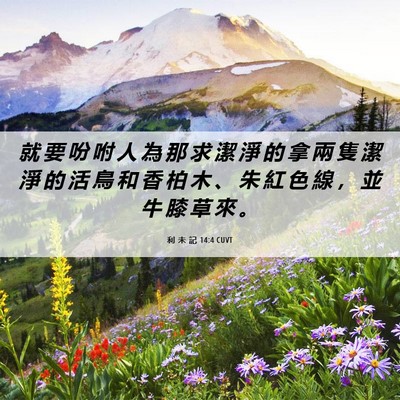Picture 06 - 利 未 記 14:4 CUVT - 就 要 吩 咐 人 為 那 求 潔 淨 的 拿 - Bible Verse Picture