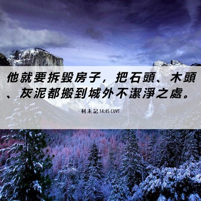 Picture 06 - 利 未 記 14:45 CUVT - 他 就 要 拆 毀 房 子 ， 把 石 頭 、 - Bible Verse Picture