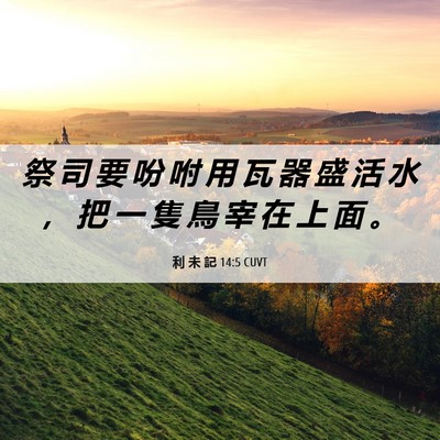 Picture 06 - 利 未 記 14:5 CUVT - 祭 司 要 吩 咐 用 瓦 器 盛 活 水 ， - Bible Verse Picture