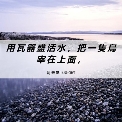 Picture 06 - 利 未 記 14:50 CUVT - 用 瓦 器 盛 活 水 ， 把 一 隻 鳥 宰 - Bible Verse Picture