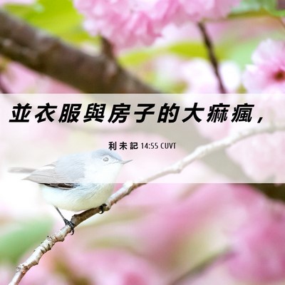 Picture 06 - 利 未 記 14:55 CUVT - 並 衣 服 與 房 子 的 大 痲 瘋 - Bible Verse Picture
